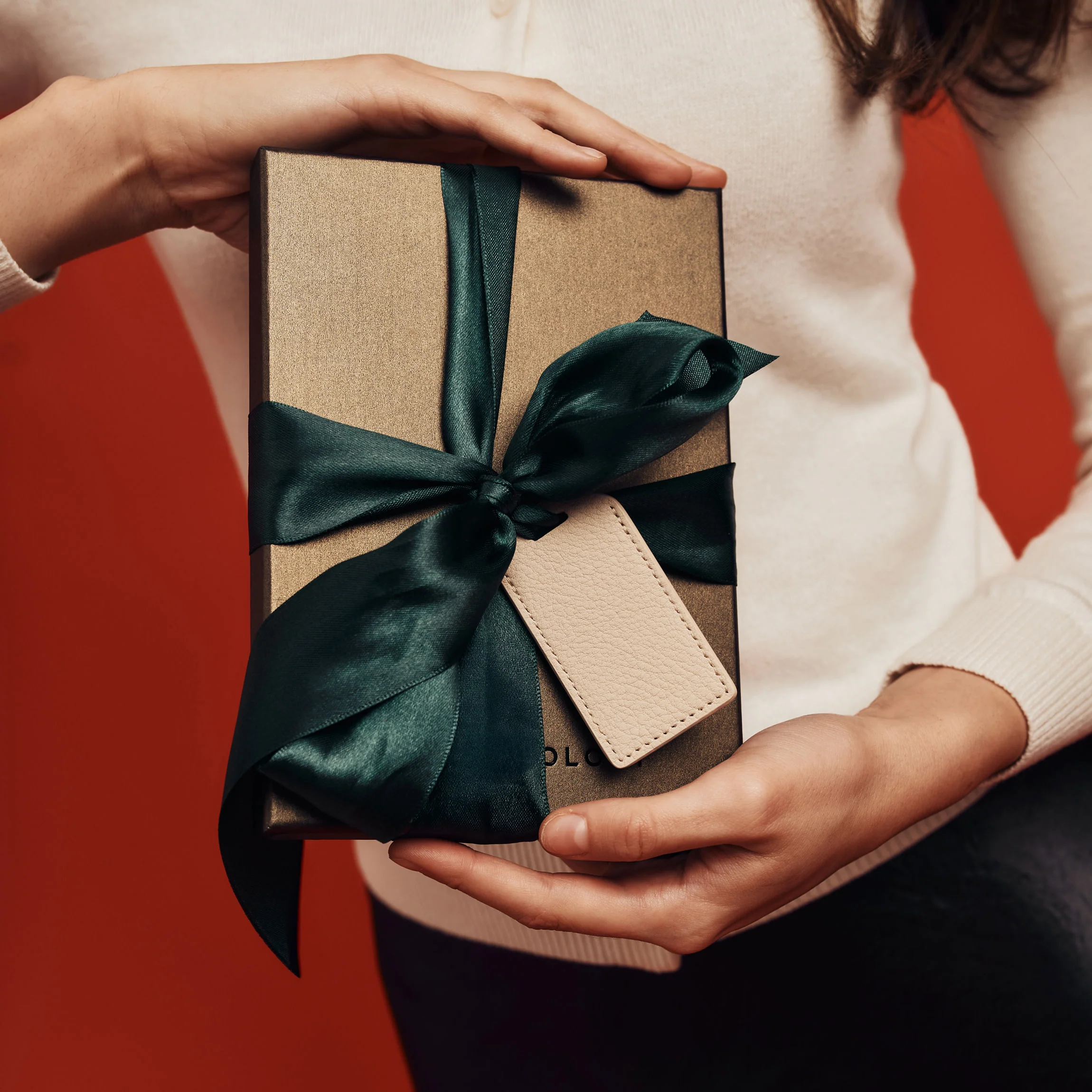 Deluxe Passport Cover + Luggage Tag Set Buoy Red - Image 6